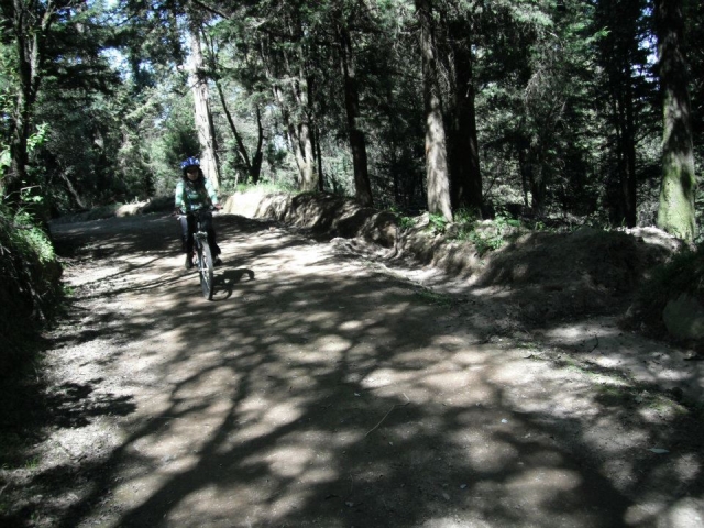  Cycling routes and trails 